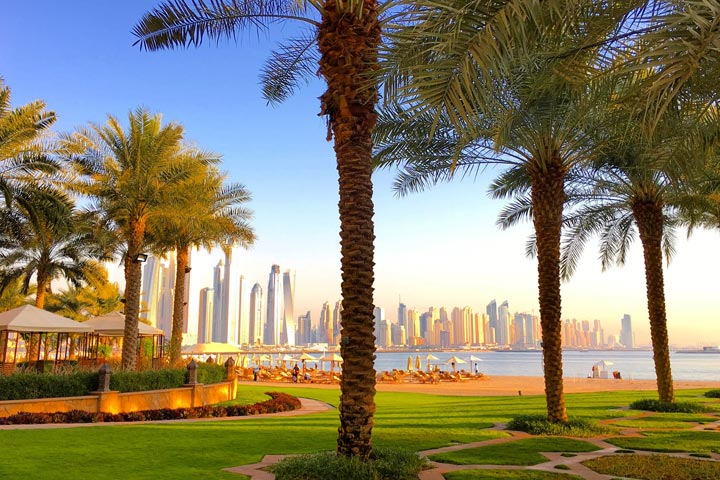 Landscape Design Services