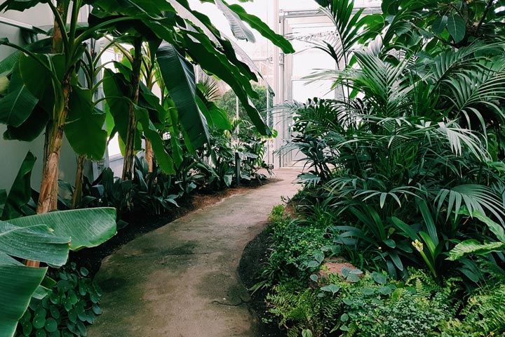 Landscape Design Services