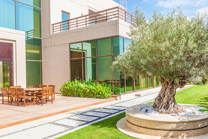 Landscape Design Services